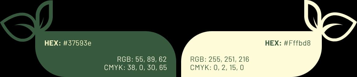 brandingContentUpperImg